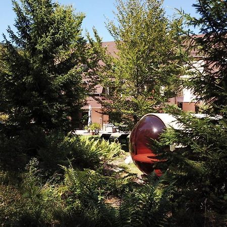 Hotel Cote Foret Orbey Exterior foto